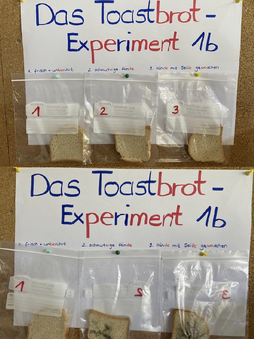  Toastexperiment 1b 